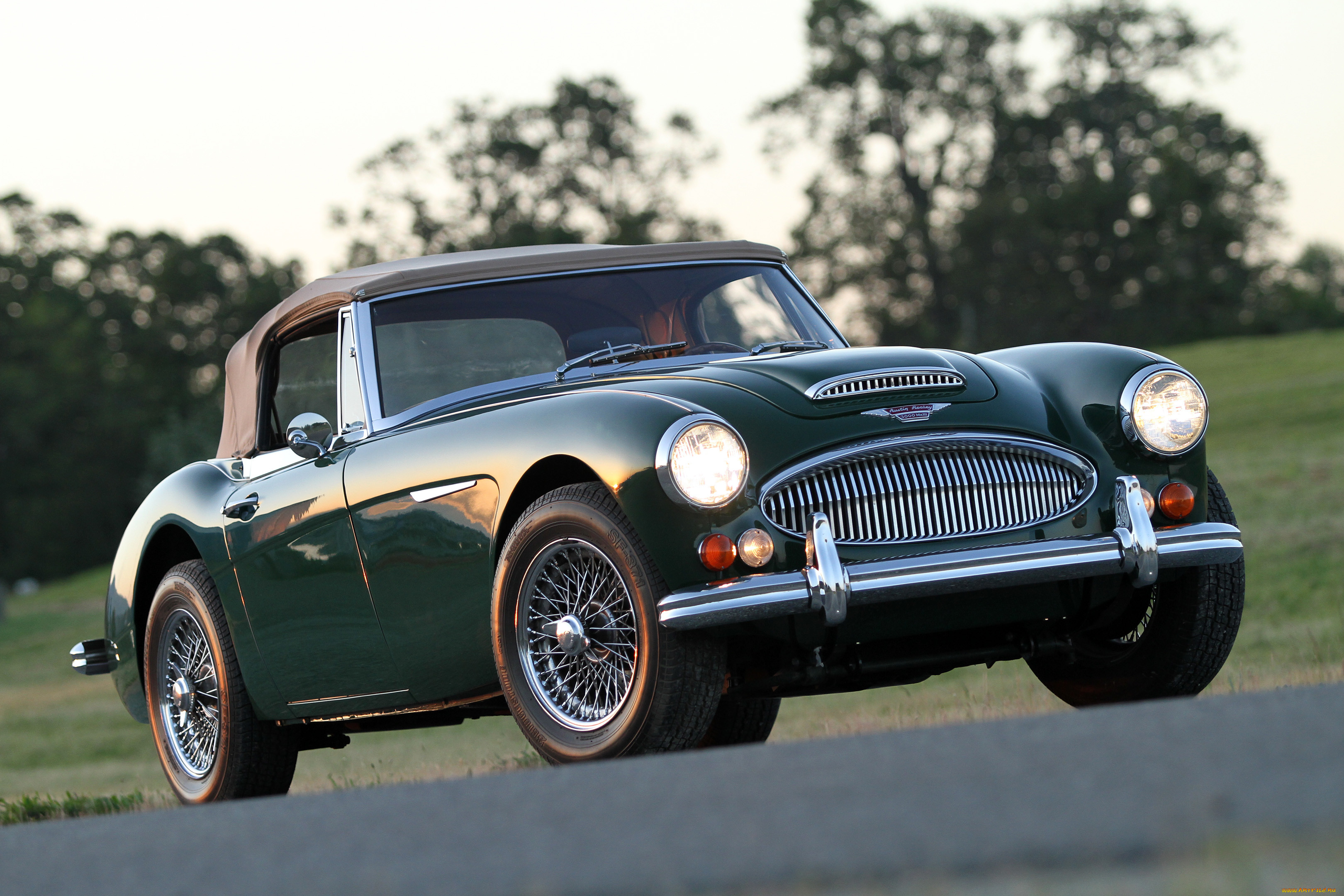 , austin, austin-healy, austin-healey